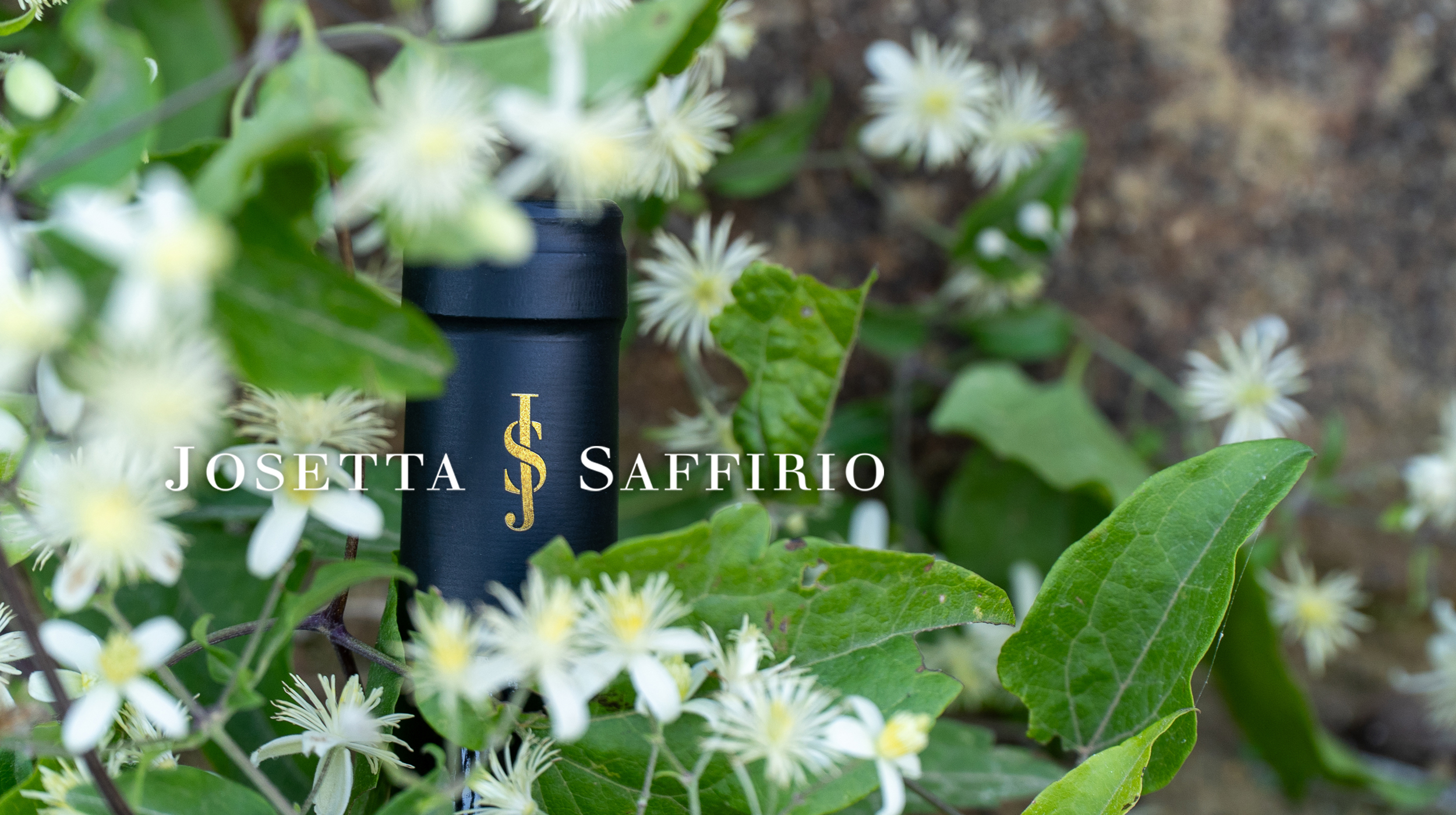 josetta-saffirio-brand-identity-wine-labels-chiani