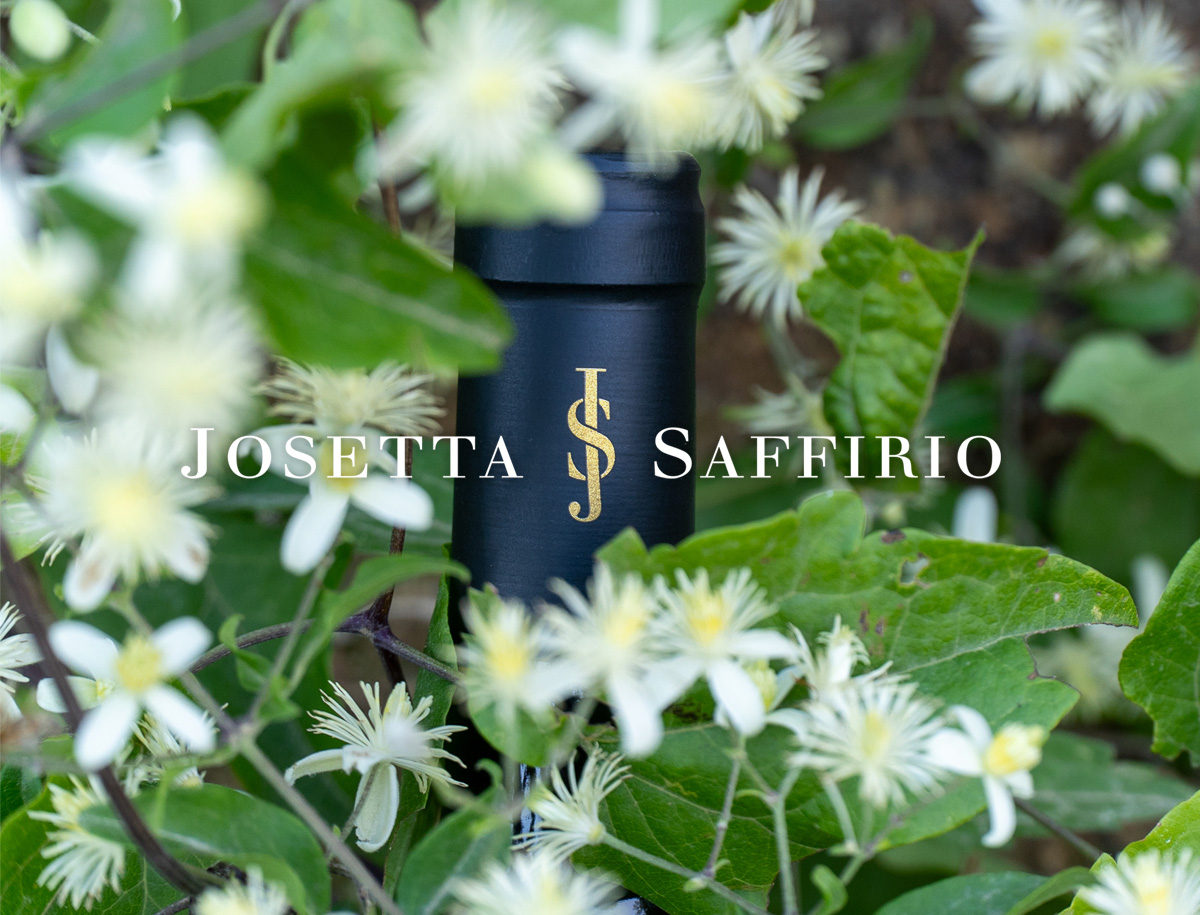 josetta-saffirio-brand-identity-wine-labels-chiani